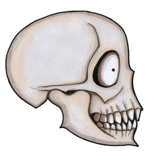 Un crâne aux dents pointues