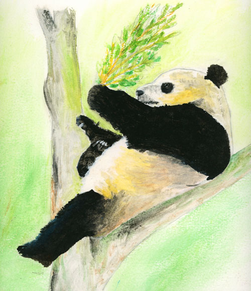 Panda mange dans un arbre