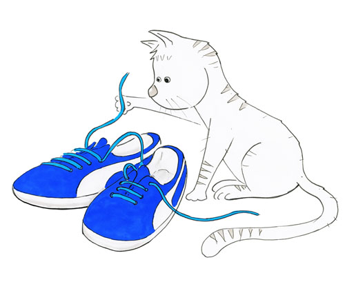 Un chat et une paire de chaussure bleue