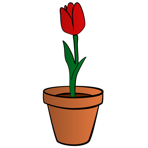 Une tulipe dans un pot