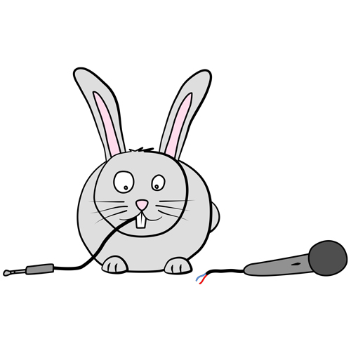 Lapin qui mange un cable de microphone