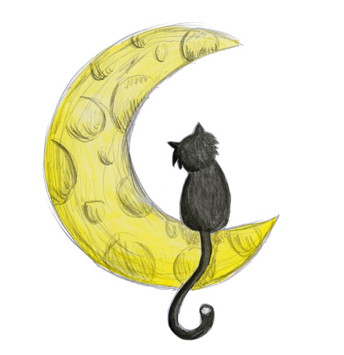 Un chat noir sur la lune