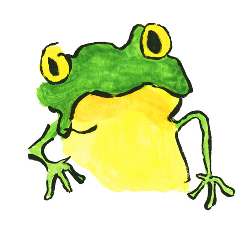 Une grenouille verte
